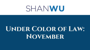 Under Color of Law: November - Shanlon Wu